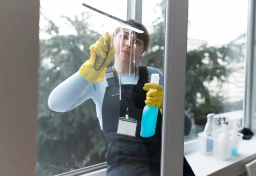 Nettoyage de vitres intérieures et extérieures à Gevingey